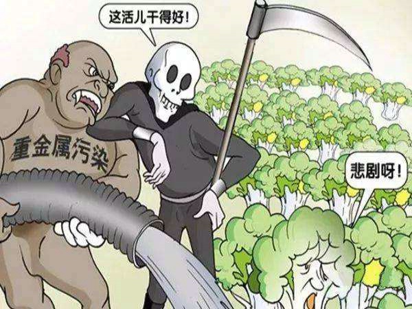 食品重金屬快速檢測(cè)技術(shù)有哪些？