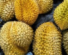 “哄搶榴蓮”檢查結(jié)果終于來了，罪魁禍?zhǔn)拙故撬? />
                                    </div>
                                    <div   id=