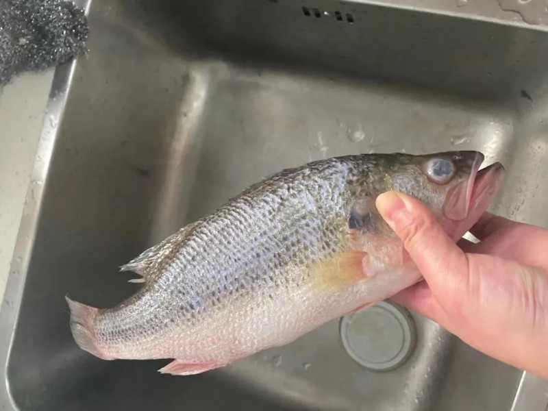 “活魚變死魚”，好一出瞞天過(guò)海！